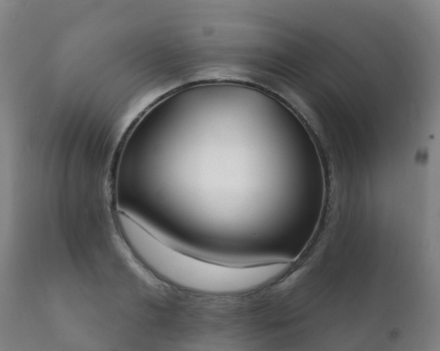 X0000112360893200908201500