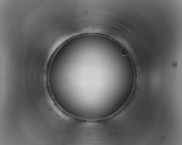 X0000112360894200908201500