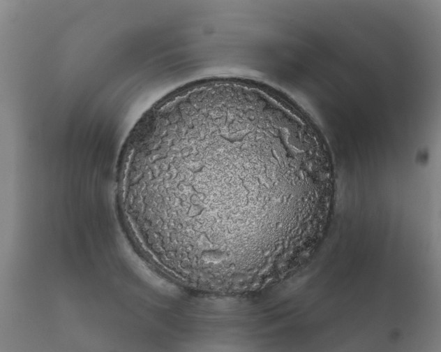 X0000112360895200908201500