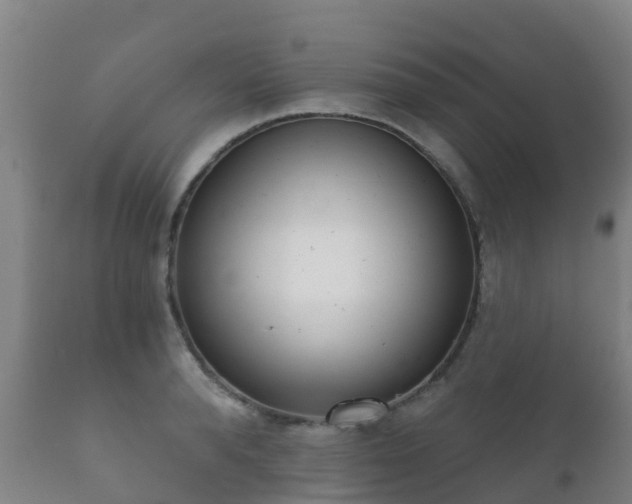 X0000112360896200908201500