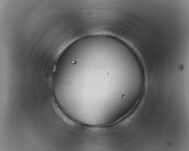 X0000112360897200908201500