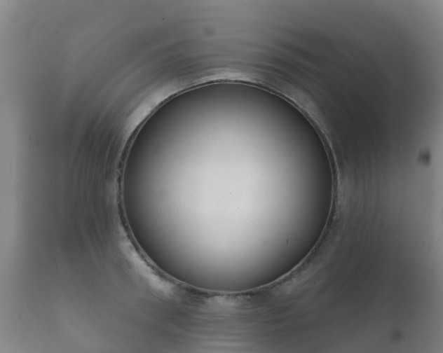 X0000112360898200908201500