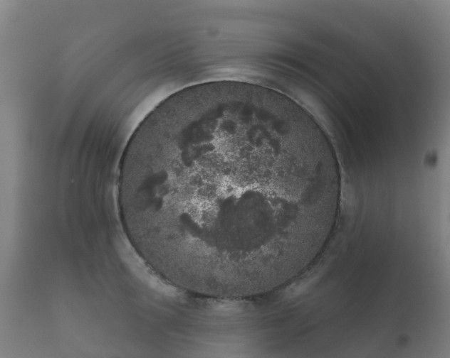 X0000112360899200908201500