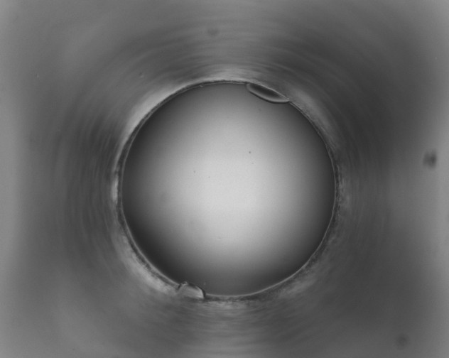 X0000112360900200908201500