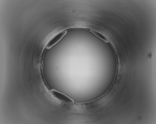 X0000112360901200908201500