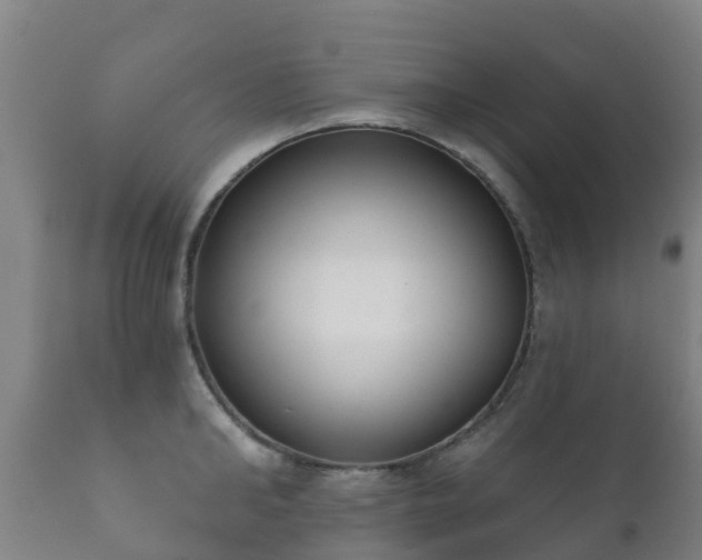 X0000112360902200908201500