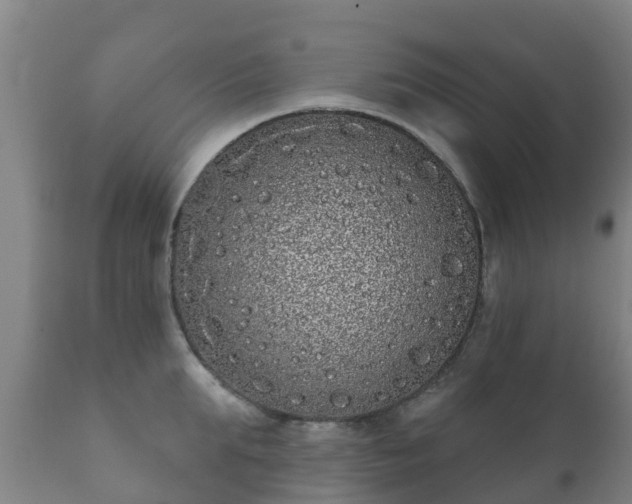 X0000112360903200908201500