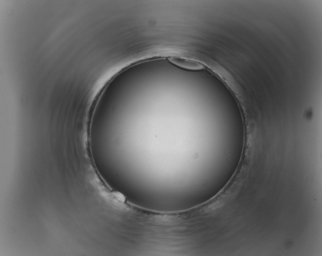 X0000112360904200908201500