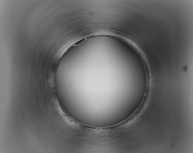 X0000112360905200908201500