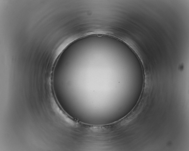 X0000112360906200908201500