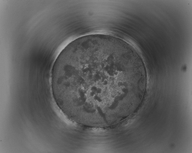 X0000112360907200908201500