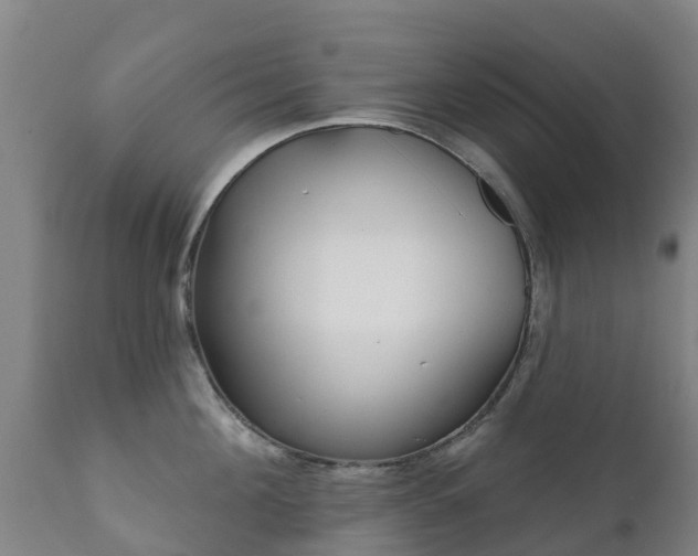 X0000112360908200908201500