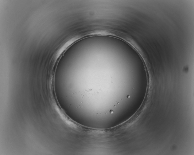 X0000112360909200908201500