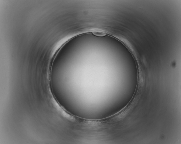 X0000112360910200908201500