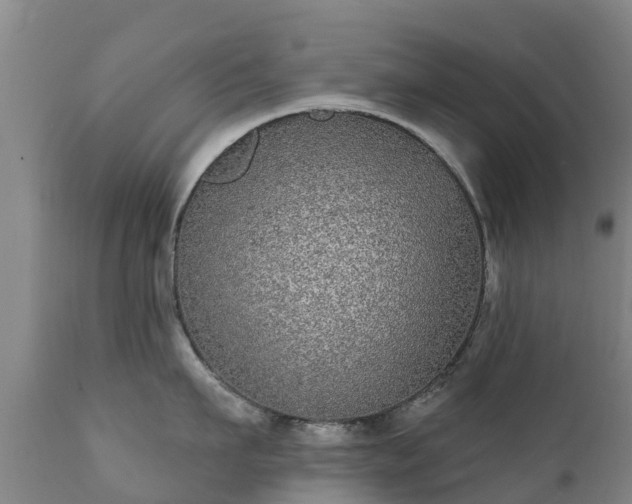 X0000112360911200908201500