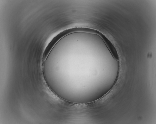 X0000112360912200908201500