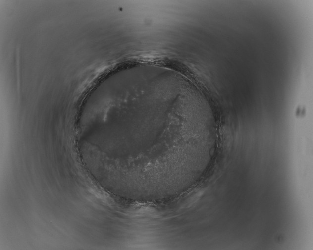 X0000112360913200908201459