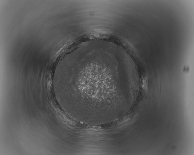 X0000112360915200908201459