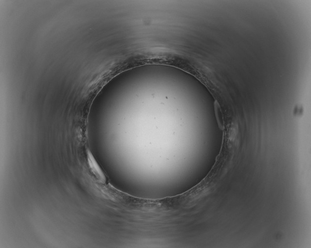 X0000112360916200908201459