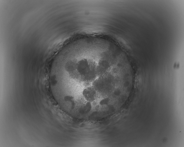 X0000112360917200908201459