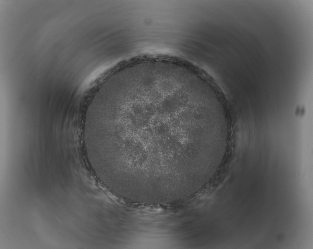 X0000112360919200908201459