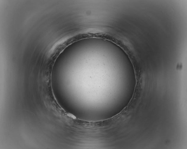 X0000112360920200908201459