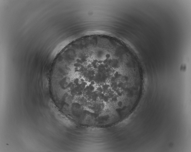 X0000112360921200908201459