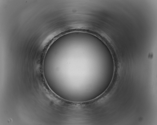 X0000112360922200908201459