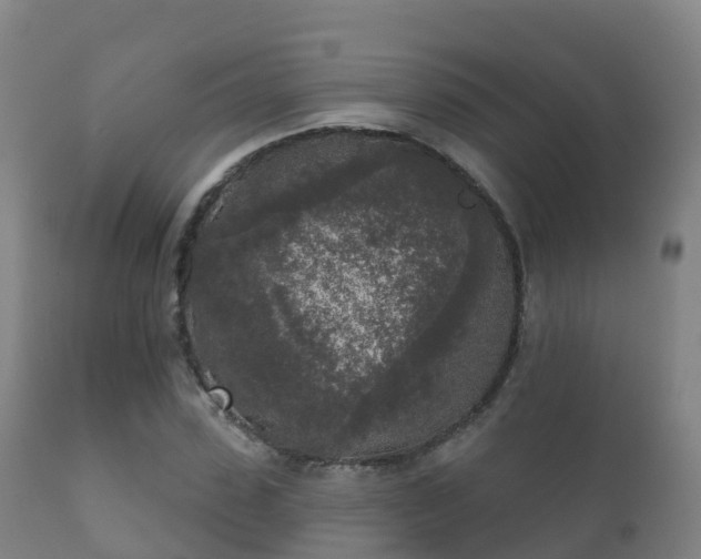 X0000112360923200908201459