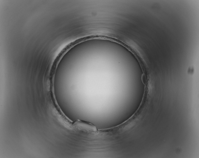 X0000112360924200908201459