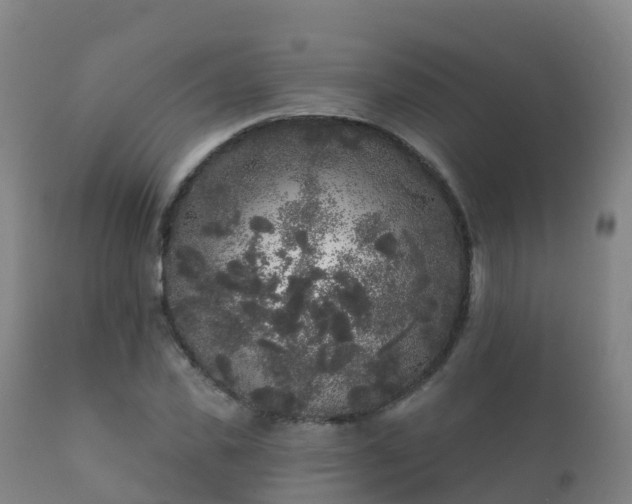 X0000112360925200908201459