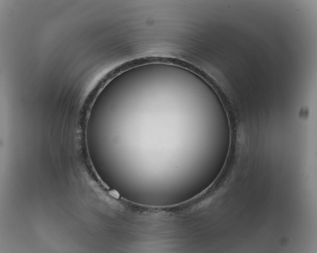 X0000112360926200908201459