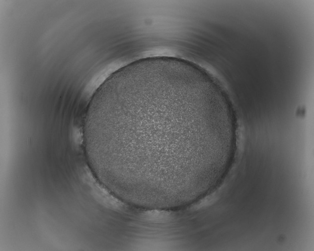 X0000112360929200908201459