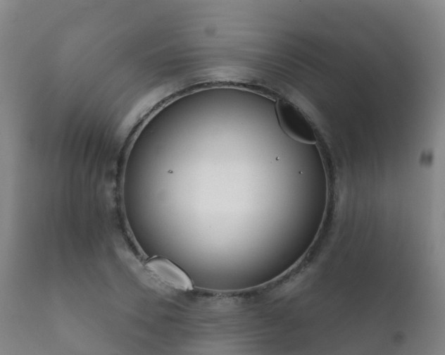 X0000112360930200908201459