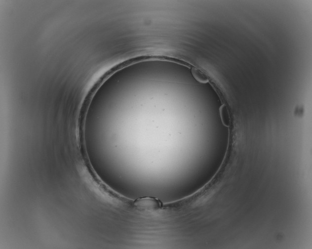 X0000112360932200908201459