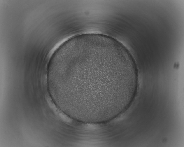 X0000112360933200908201459