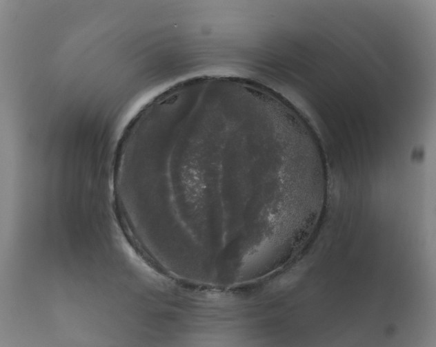 X0000112360935200908201459