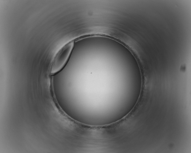 X0000112360936200908201459