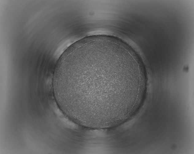 X0000112360937200908201459