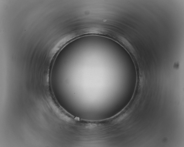 X0000112360938200908201459