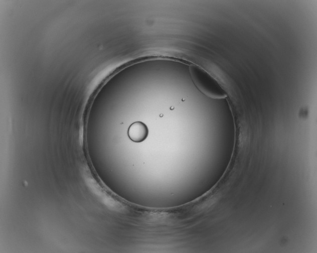 X0000112360940200908201459