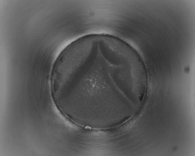 X0000112360943200908201459