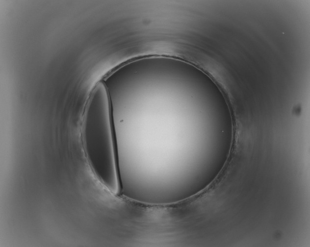 X0000112360944200908201459