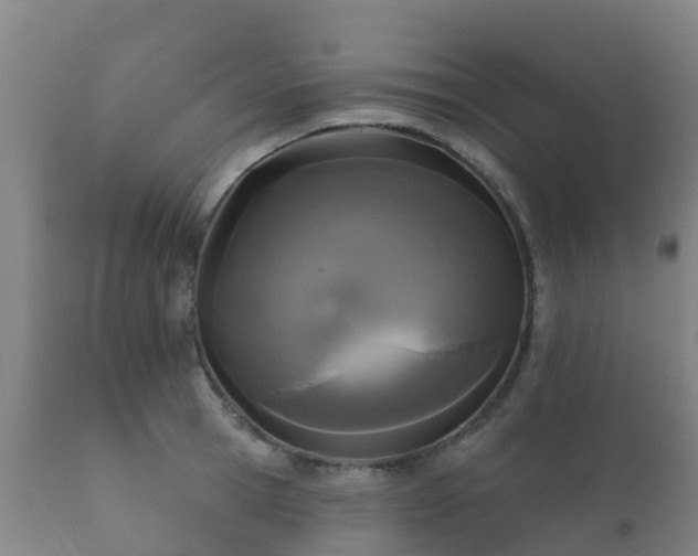 X0000112360945200908201459