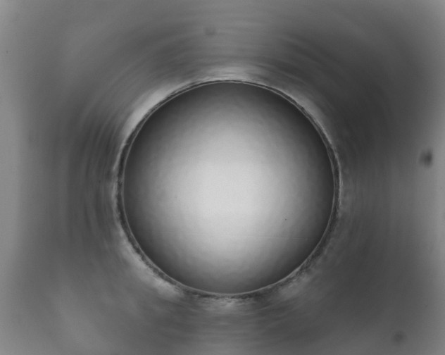 X0000112360949200908201459