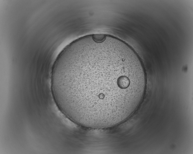 X0000112360950200908201459