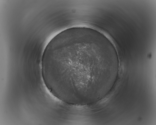 X0000112360951200908201459