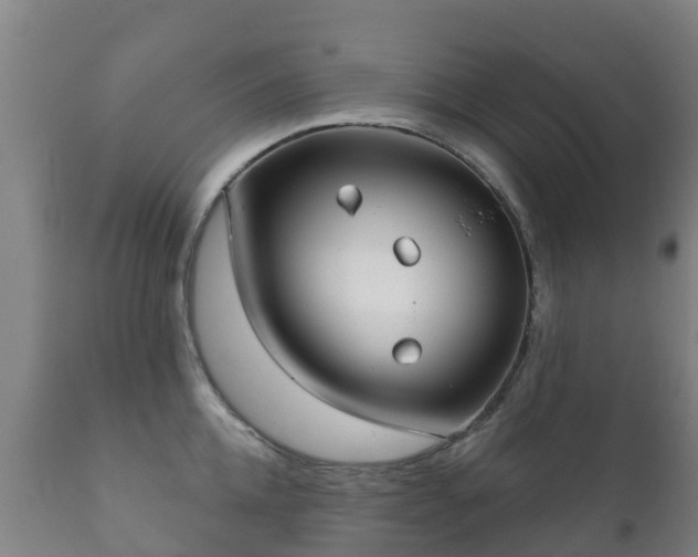 X0000112360952200908201459