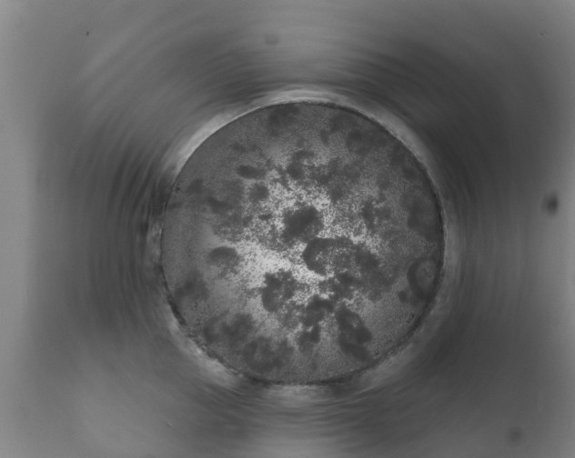 X0000112360953200908201459