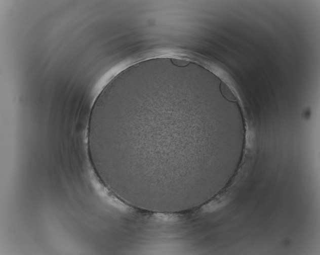 X0000112360954200908201459